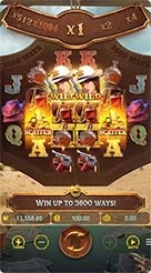 rp555 · Wild Bounty Sd